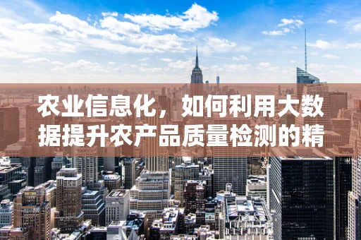 农业信息化，如何利用大数据提升农产品质量检测的精准度？