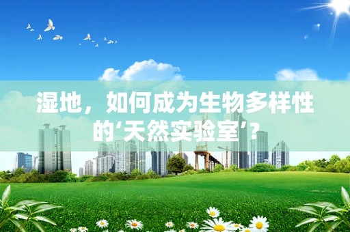 湿地，如何成为生物多样性的‘天然实验室’？
