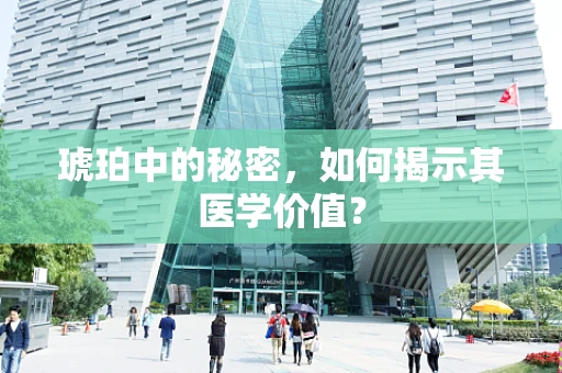 琥珀中的秘密，如何揭示其医学价值？