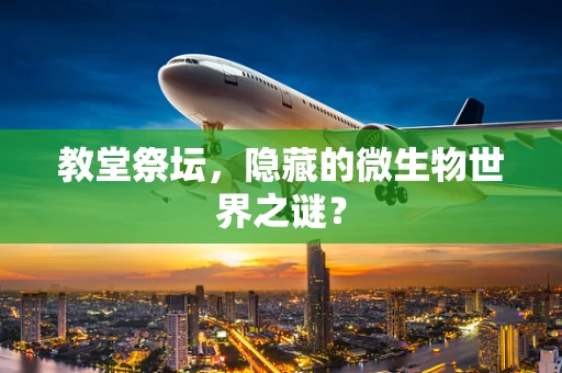 教堂祭坛，隐藏的微生物世界之谜？