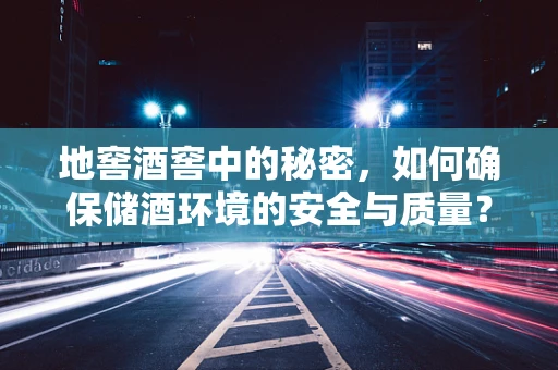 地窖酒窖中的秘密，如何确保储酒环境的安全与质量？