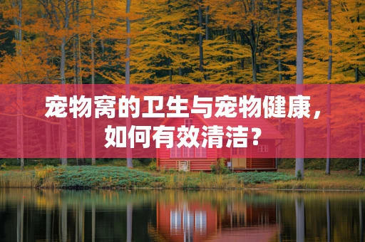 宠物窝的卫生与宠物健康，如何有效清洁？