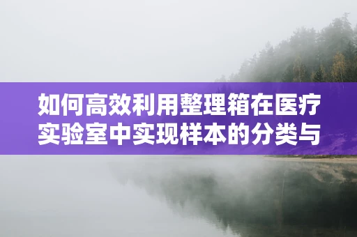 如何高效利用整理箱在医疗实验室中实现样本的分类与存储？