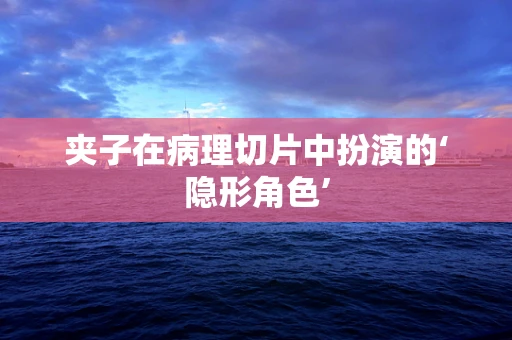 夹子在病理切片中扮演的‘隐形角色’