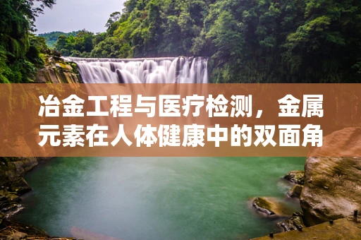 冶金工程与医疗检测，金属元素在人体健康中的双面角色？