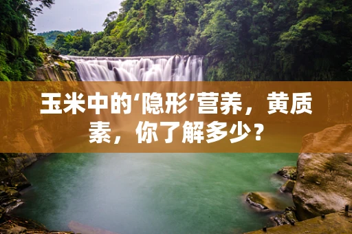 玉米中的‘隐形’营养，黄质素，你了解多少？