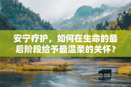 安宁疗护，如何在生命的最后阶段给予最温柔的关怀？
