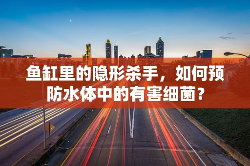 鱼缸里的隐形杀手，如何预防水体中的有害细菌？