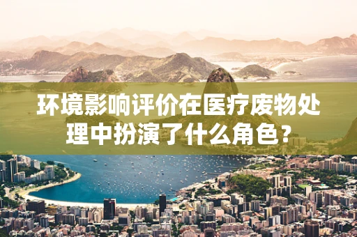 环境影响评价在医疗废物处理中扮演了什么角色？