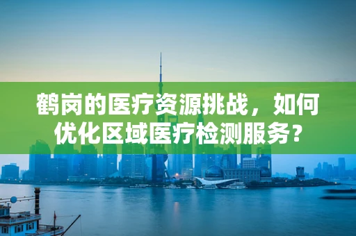鹤岗的医疗资源挑战，如何优化区域医疗检测服务？