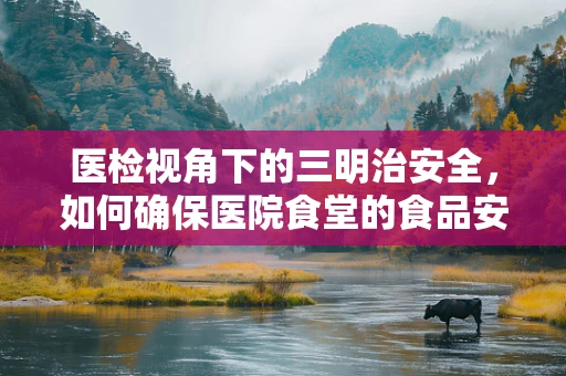 医检视角下的三明治安全，如何确保医院食堂的食品安全？
