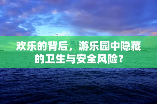欢乐的背后，游乐园中隐藏的卫生与安全风险？