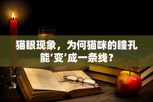 猫眼现象，为何猫咪的瞳孔能‘变’成一条线？