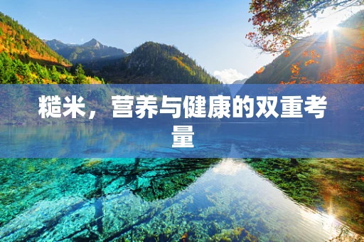 糙米，营养与健康的双重考量