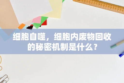 细胞自噬，细胞内废物回收的秘密机制是什么？