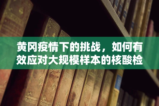 黄冈疫情下的挑战，如何有效应对大规模样本的核酸检测？