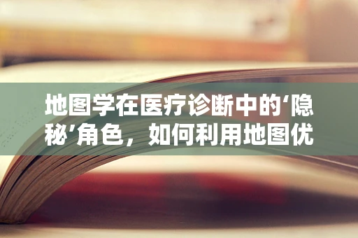 地图学在医疗诊断中的‘隐秘’角色，如何利用地图优化患者追踪与资源调配？