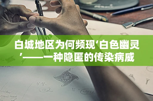 白城地区为何频现‘白色幽灵’——一种隐匿的传染病威胁？