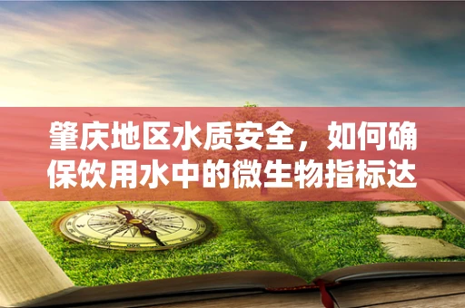 肇庆地区水质安全，如何确保饮用水中的微生物指标达标？