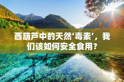 西葫芦中的天然‘毒素’，我们该如何安全食用？