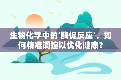 生物化学中的‘酶促反应’，如何精准调控以优化健康？