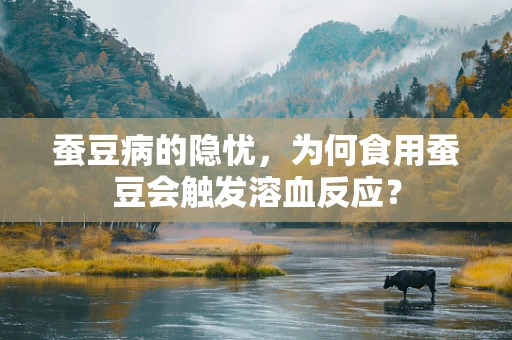蚕豆病的隐忧，为何食用蚕豆会触发溶血反应？