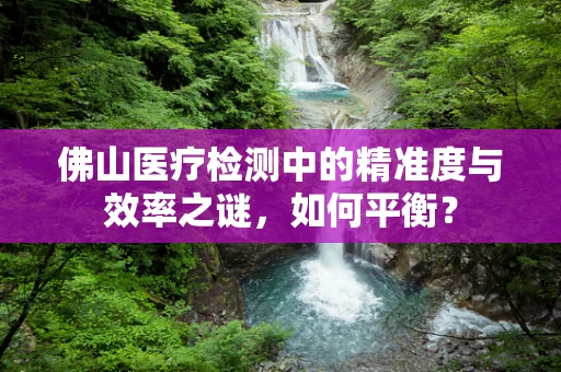 佛山医疗检测中的精准度与效率之谜，如何平衡？