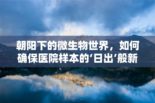 朝阳下的微生物世界，如何确保医院样本的‘日出’般新鲜？