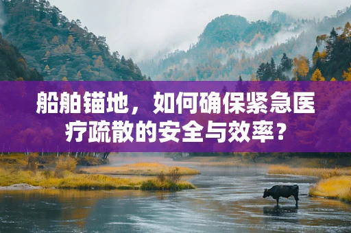 船舶锚地，如何确保紧急医疗疏散的安全与效率？