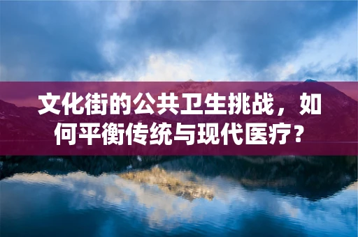 文化街的公共卫生挑战，如何平衡传统与现代医疗？