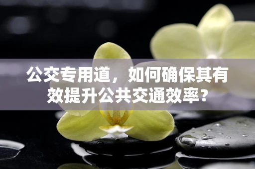 公交专用道，如何确保其有效提升公共交通效率？