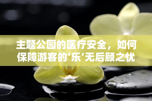 主题公园的医疗安全，如何保障游客的‘乐’无后顾之忧？