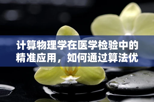 计算物理学在医学检验中的精准应用，如何通过算法优化提升检测效率？