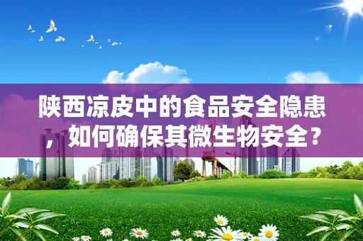 陕西凉皮中的食品安全隐患，如何确保其微生物安全？