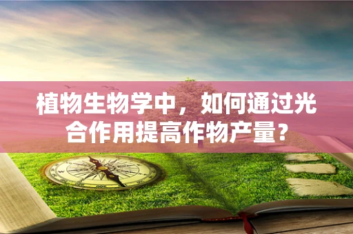 植物生物学中，如何通过光合作用提高作物产量？