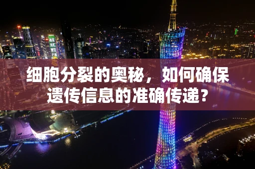 细胞分裂的奥秘，如何确保遗传信息的准确传递？