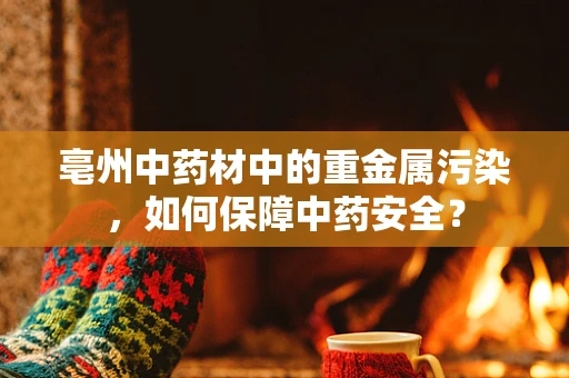 亳州中药材中的重金属污染，如何保障中药安全？
