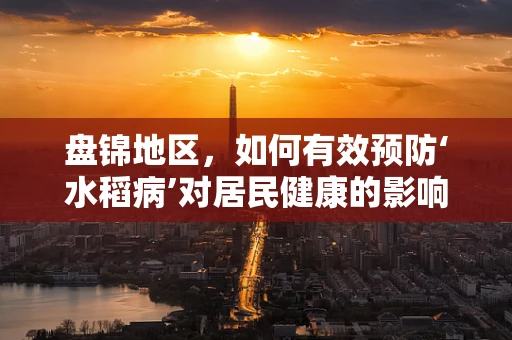 盘锦地区，如何有效预防‘水稻病’对居民健康的影响？