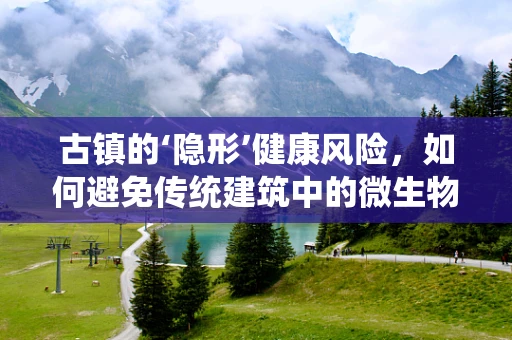 古镇的‘隐形’健康风险，如何避免传统建筑中的微生物污染？