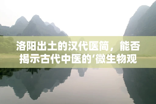 洛阳出土的汉代医简，能否揭示古代中医的‘微生物观’？