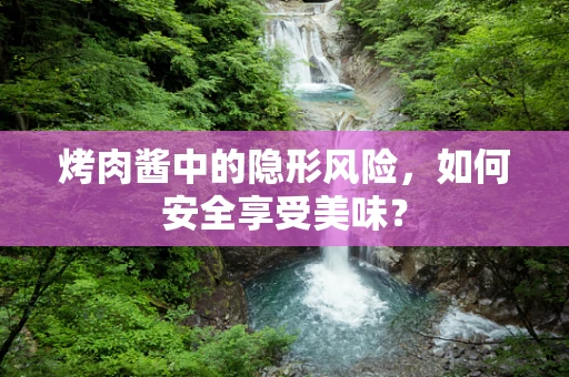 烤肉酱中的隐形风险，如何安全享受美味？