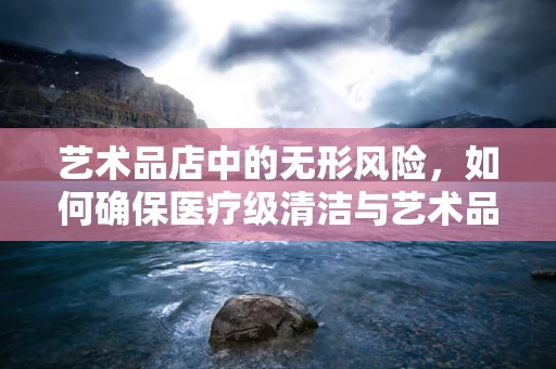 艺术品店中的无形风险，如何确保医疗级清洁与艺术品共存？