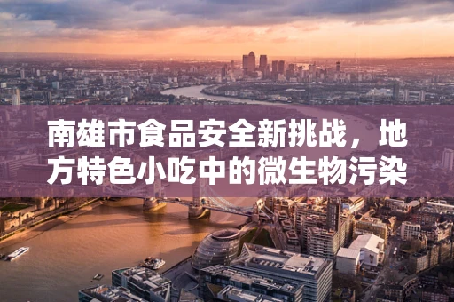 南雄市食品安全新挑战，地方特色小吃中的微生物污染现状