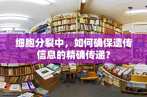 细胞分裂中，如何确保遗传信息的精确传递？