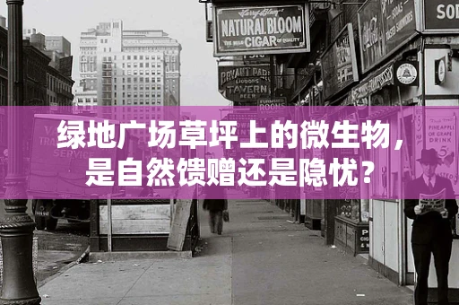 绿地广场草坪上的微生物，是自然馈赠还是隐忧？