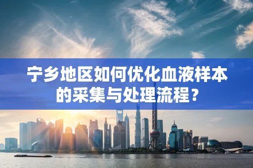宁乡地区如何优化血液样本的采集与处理流程？