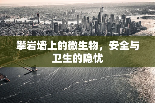 攀岩墙上的微生物，安全与卫生的隐忧