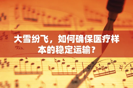 大雪纷飞，如何确保医疗样本的稳定运输？