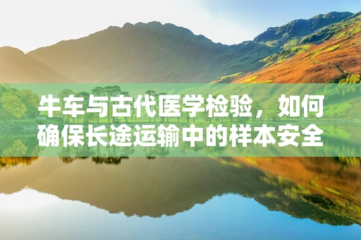 牛车与古代医学检验，如何确保长途运输中的样本安全？