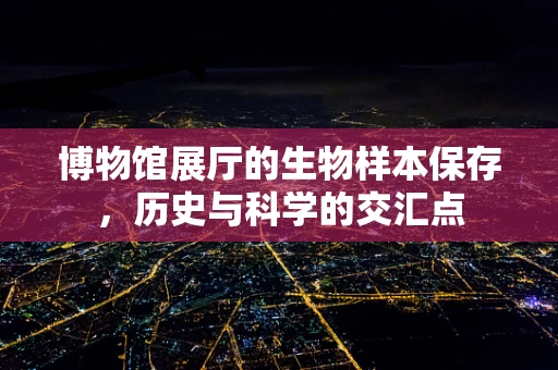 博物馆展厅的生物样本保存，历史与科学的交汇点